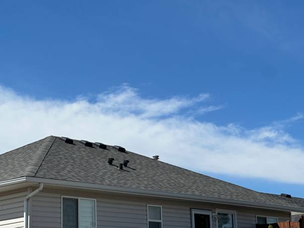 Best Sheet Metal Roofing  in Fairfax, IA